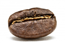 Zrnková káva bez kofeinu